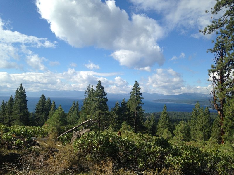 The top section of the downhill has some sweet views of Lake Tahoe!