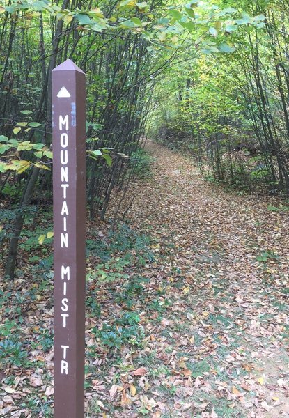 Mountain Mist & Musser Gap trails intersect