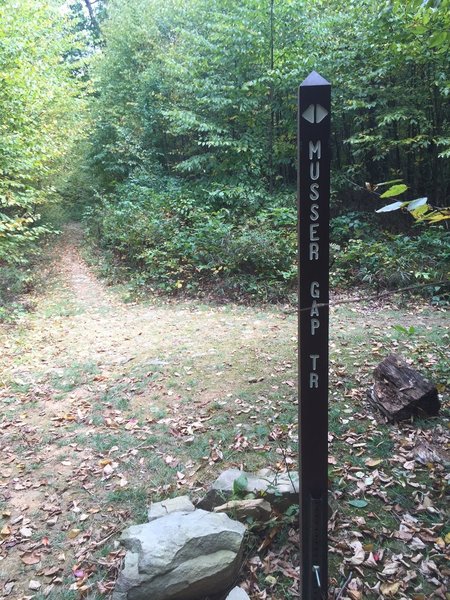 Mountain Mist & Musser Gap trails intersect - looking down Musser Gap Trail, in the direction of the trailhead, from Mountain Mist Trail