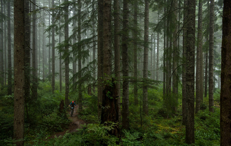 Griffin Meyers racing through a forest on Greenline.