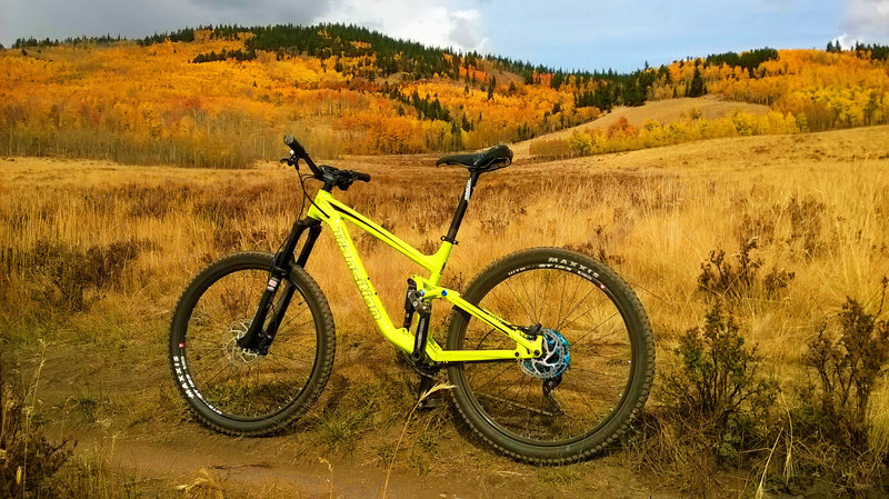 Last bit of fall color in the aspens. Just about to drop down to the bridge.