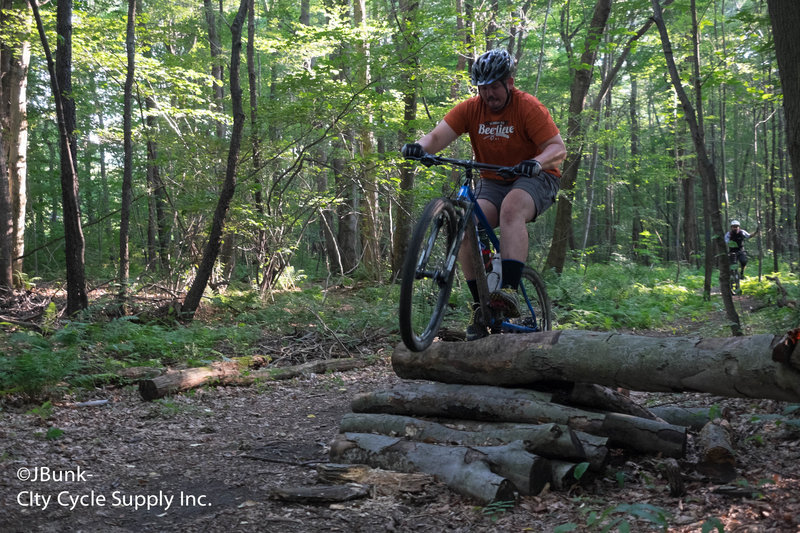 Little skinny log ride.