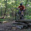 Little skinny log ride.