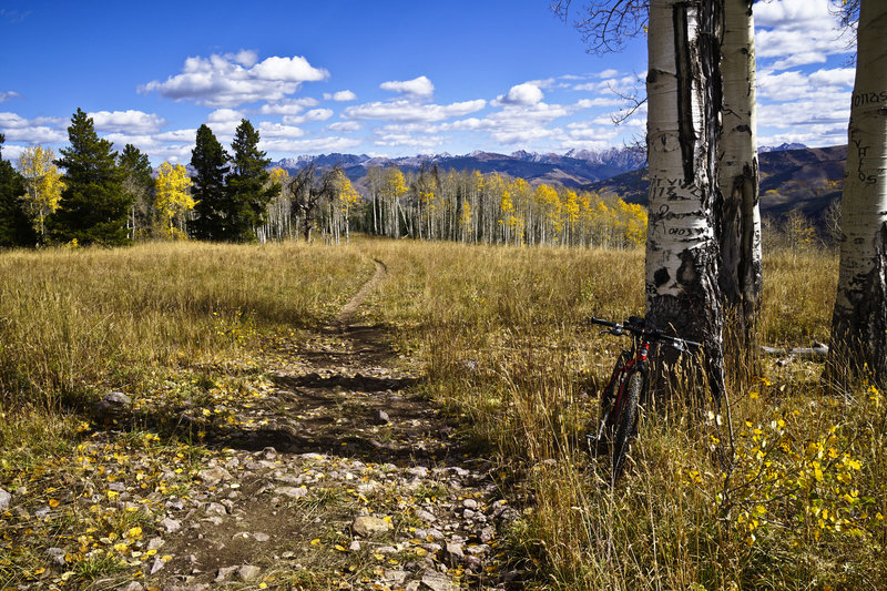 Looking back at the Gore Range from near the line shack.