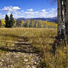 Looking back at the Gore Range from near the line shack.