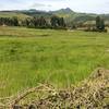 View of park from the dirt road road from Sebeta town (Addis Ababa)