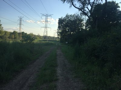 Linking Trail from Waterfall Glen to Centennial Trail