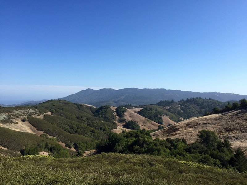 looking south towards Mt Tam from high atop Pine Mtn