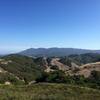 looking south towards Mt Tam from high atop Pine Mtn