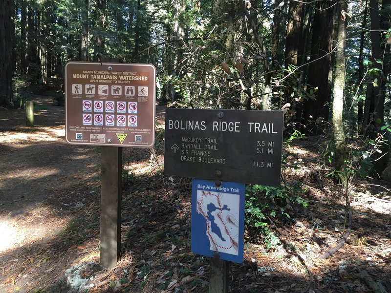 Terminus of Bolinas Ridge Fire Road.