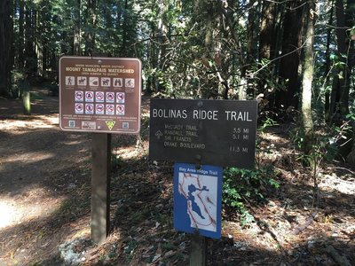 Terminus of Bolinas Ridge Fire Road.