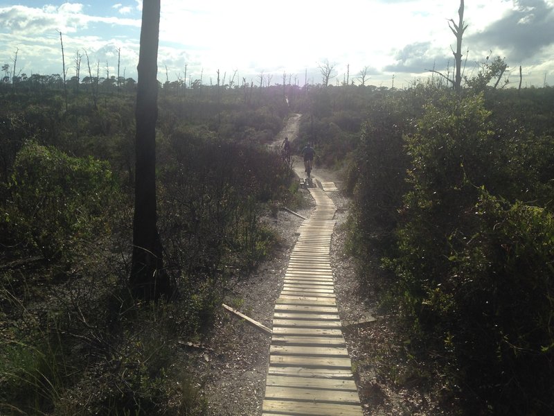 Nice fast down hill ladder on Middle Ridge Trail.