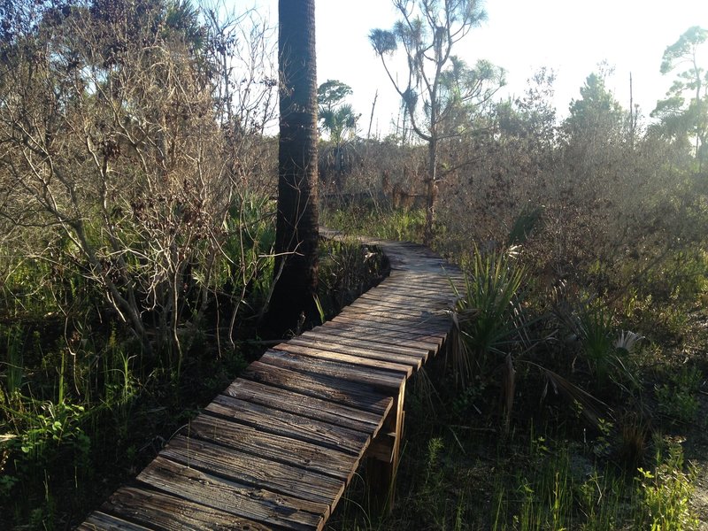 Raised Board Walk at the end of Half Pipe Trail.