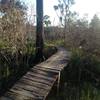 Raised Board Walk at the end of Half Pipe Trail.