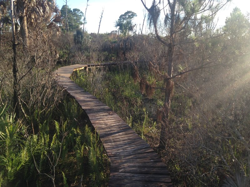 Middle section of the raised Board Walk at the end of Half Pipe Trail.