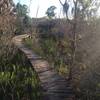 Middle section of the raised Board Walk at the end of Half Pipe Trail.