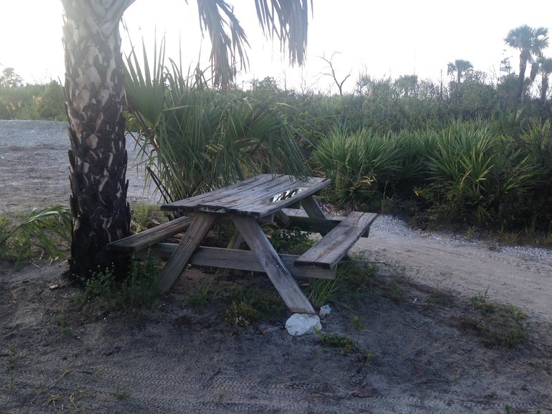 There are about four places you can take a break from the hot Florida sun at a table on the trail system.