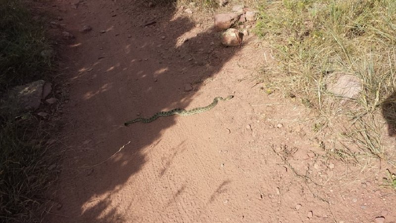 Watch for rattlesnakes sunning themselves on trail.