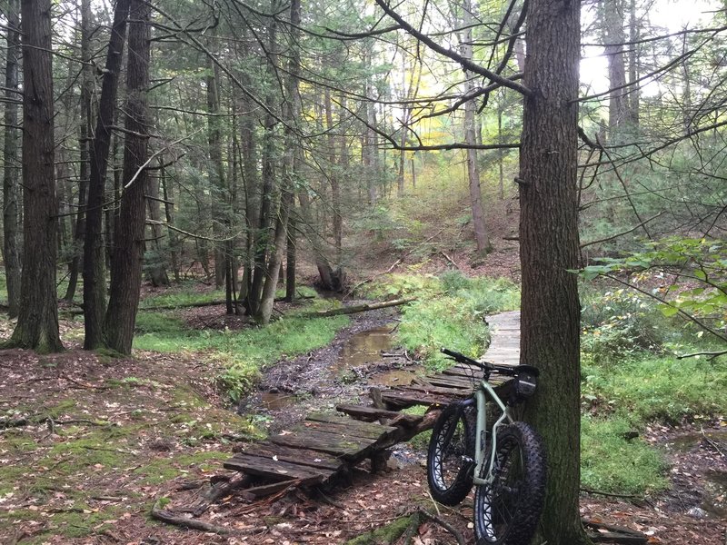 Looking across one of the two bridges linking Main Ski Trail to One Ski Trail and Three Ski Trail