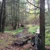 Looking across one of the two bridges linking Main Ski Trail to One Ski Trail and Three Ski Trail