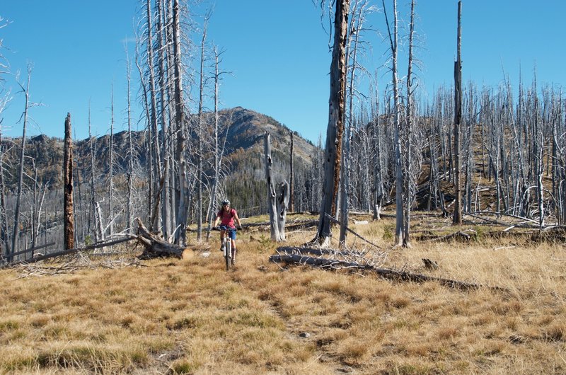 Fall riding.