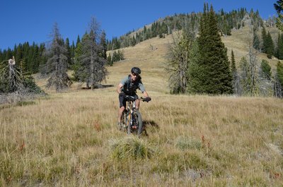 Upper meadows on Sign Creek.