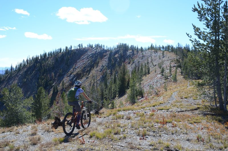 Final ridge on Razorback mountain.