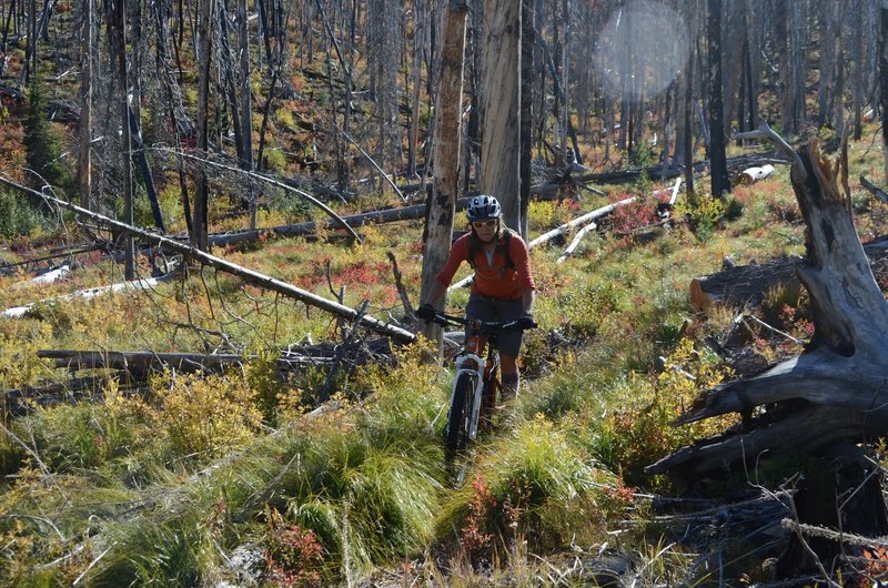 Great fall riding.