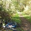 A very flat and relaxed section of the trail.