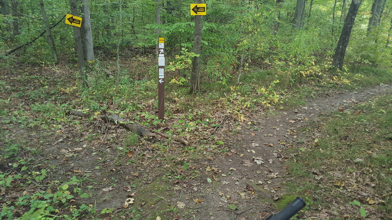 Trail split.  Optional loop to the right,  main to the left.