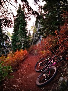 are bikes allowed on dog lake trail millcreek canyon