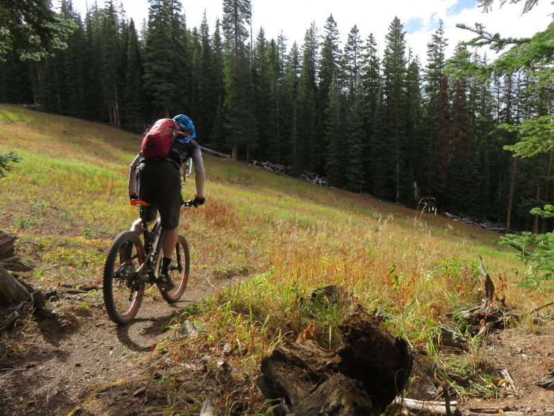 Crossing the North Star ski run, fast and flow section of East Rim Trail.