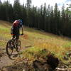 Crossing the North Star ski run, fast and flow section of East Rim Trail.