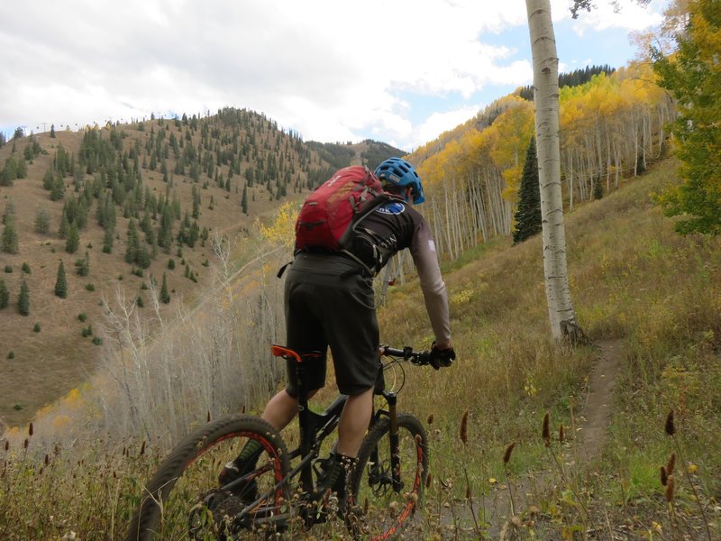 A flowing section of Scotty's Trail between steeper switchback areas. Bell Mountain and the Aspen Mt. Gondola on the left.