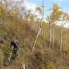 Sunnyside Trail, always a worthy destination when the aspen leaves change color!