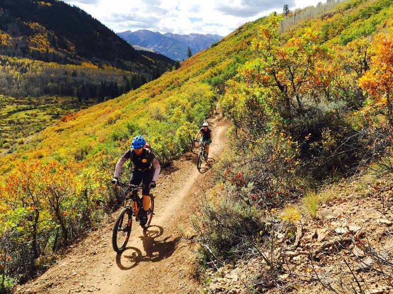 Hummingbird Trail, looking downvalley in the Hunter Creek valley.