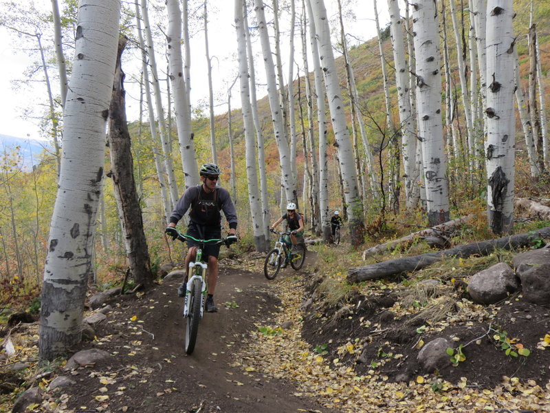 Gaining elevation on the way up through the aspen grove on lower Hummingbird Trail.