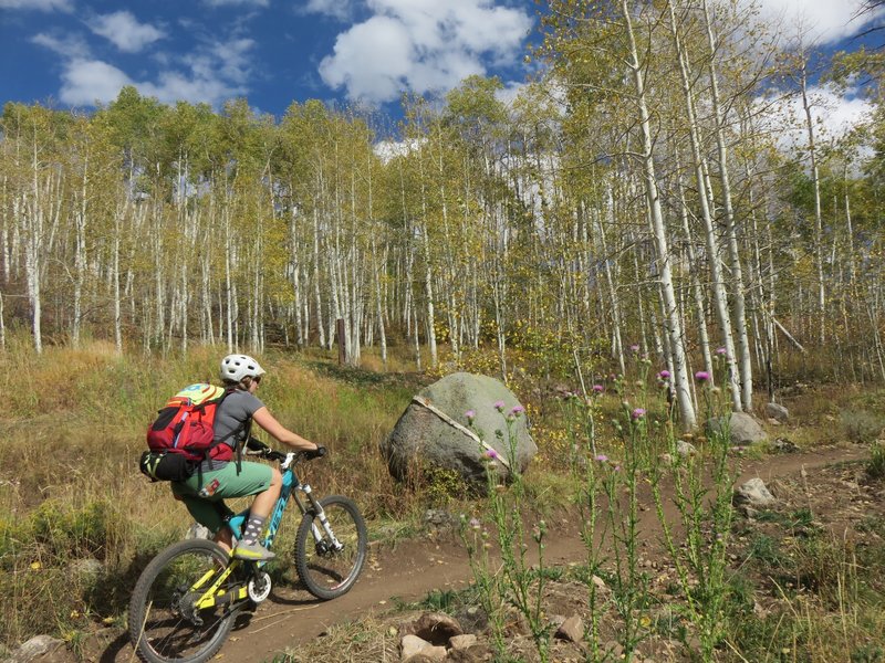 Cool rock and aspen grove near bottom of Hummingbird Trail.