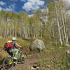 Cool rock and aspen grove near bottom of Hummingbird Trail.