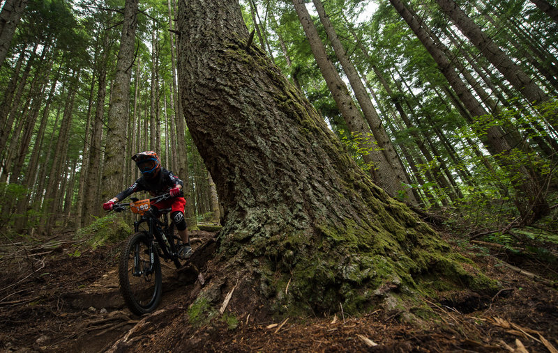 Karen O'Connell rides past an old giant on Predator.