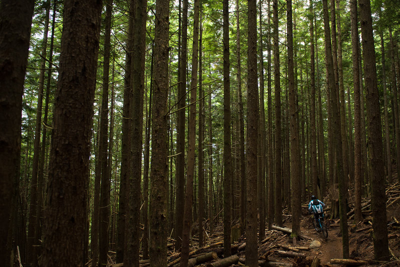 Justin Vance taking his hardtail for a ride on Off The Grid.