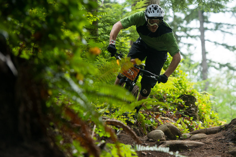 Clinton Fowler riding eyes-up on upper Silent Swamp Trail