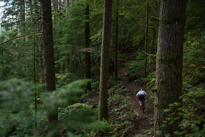 Preston Peterson climbing away from the bridge crossing on Joy Ride.