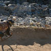 Andrew Flaschenriem competing in a chainless race on Rock Crusher.