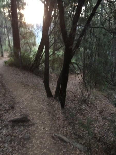 The bike trail goes off to the right. After about 200 feet the trail goes to the left.