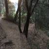 The bike trail goes off to the right. After about 200 feet the trail goes to the left.