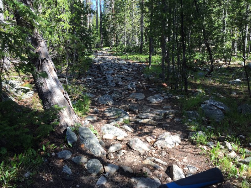 Rocky descent into Elk Meadows.