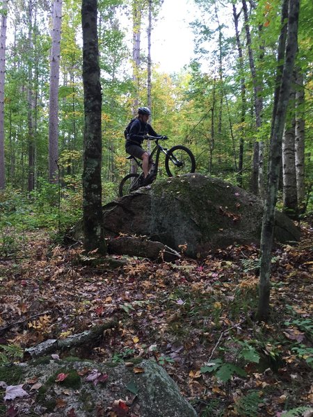 One of the smaller boulders that define the technical features of this trail.