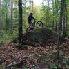 One of the smaller boulders that define the technical features of this trail.