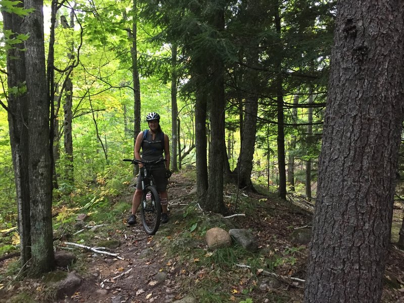 Rock-laden ridgeline deep in the woods, which is characteristic of the return loop.